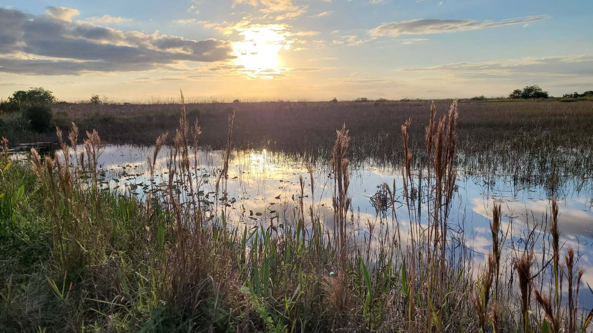 arthur r. marshall loxahatchee national wildlife refuge